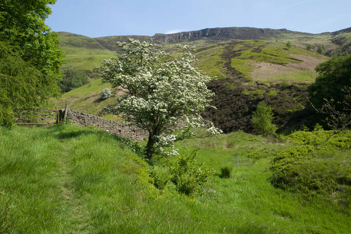 The Gathering, Edale-11