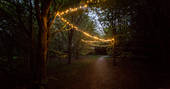 woodland, fairy lights, romantic