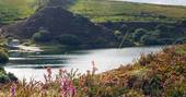 secluded lake moorland cornwall shipping container cabin cornish holiday