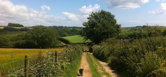 The Hideaway Hut, Treworgey Farm, Cornwall
