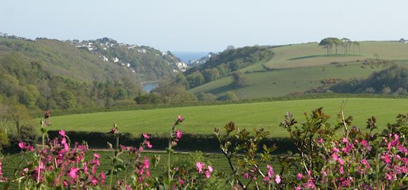The Hideaway Hut, Treworgey Farm, Cornwall