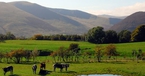 Eden, Scales Plantation, Lake District