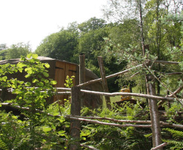 Limestone Beck Yurt