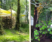 Crafty Camping