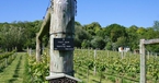 The Hide, Portesham Vineyard, Dorset