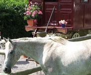 Rosie, the Gypsy caravan