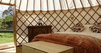 Mount Hall bed
