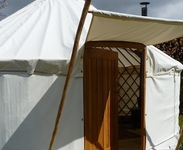 Woodpecker Yurt