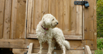 Otter Camp, Great Farm, Cotswolds