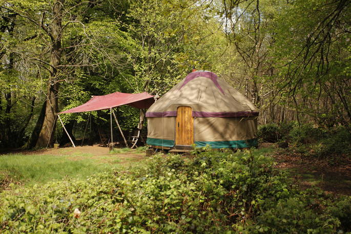 Exterior of Chestnut Yurt surrounded by green forest in rural Hampshire