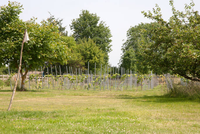the coppice woodland camp guilden gate golf and vineyard