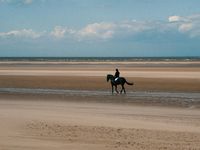 the beach