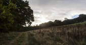 de Etchyngham geodome meadow at Robertsbridge, Sussex