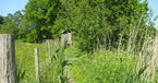 Meadowkeeper-loo