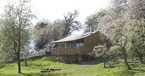 Damson Cabin