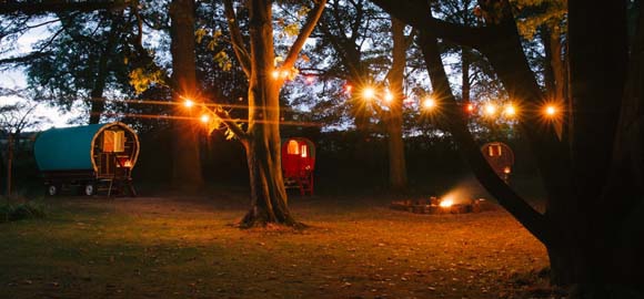 Copper Beech Glade | Camp in Yorkshire | Canopy & Stars
