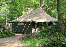 Betula Lodge Tent