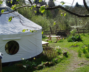 Harelawhill Eco Yurt