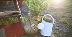 Karlotta, Roulotte Retreat, Scotland