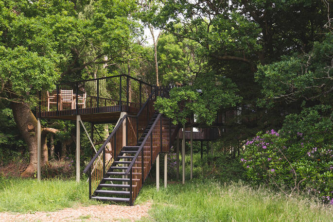 Entrance to the Wren treehouse