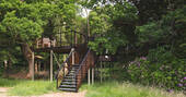 Entrance to the Wren treehouse