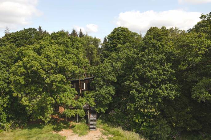 Front exterior view of Wren treehouse amongst the trees