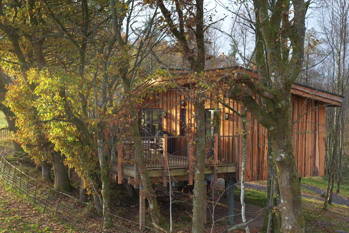 Flycatcher Treehouse exterior at Doune, Stirling, Scotland