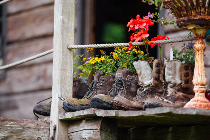 Flowers growing out of boots at The Log House Studio in Carmarthenshire