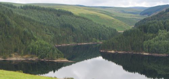 The Cabin at Nant yr Onnen, Wales