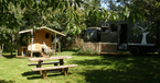 whole camp