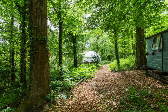 Trail from bathroom hut to Old Larch Yurt surrounded by woodland
