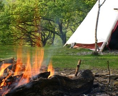 Forest tipi