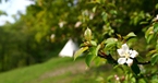 Mountain tipi, Eco Retreats, Wales