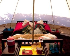 Dapper Camping No. 1