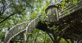 Looking up at the staircase leading to Monbazillac Treehouse, Châteaux dans les Arbres, Dordogne, France