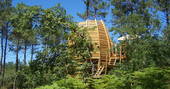 View of exterior at Oak Treehouse, Gironde