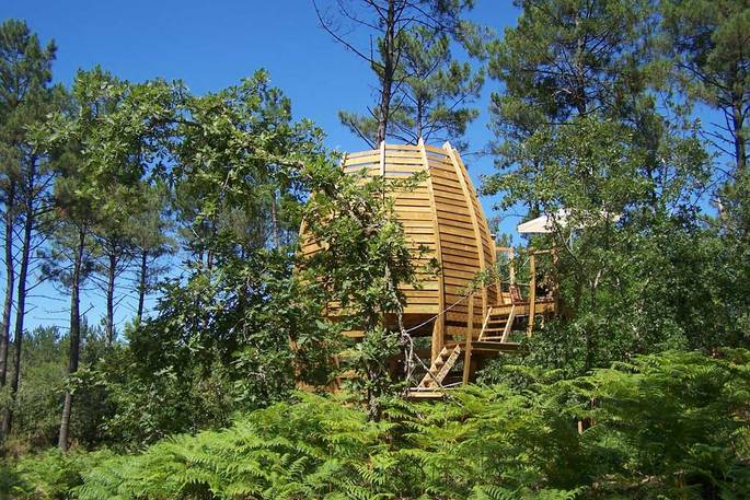 Oak Treehouse in the trees at Cap Cabane, Gironde, France