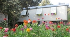 Exterior with flowers