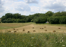 La Bergerie