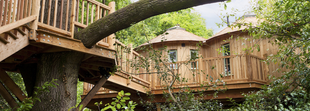The Treehouse