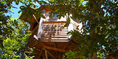 New places - see our latest finds for glamping getaways (pictured - Walnut Tree Treehouse, Portugal)