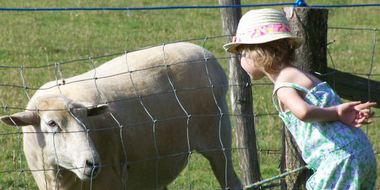 On the farm