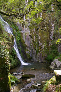 Waterfall