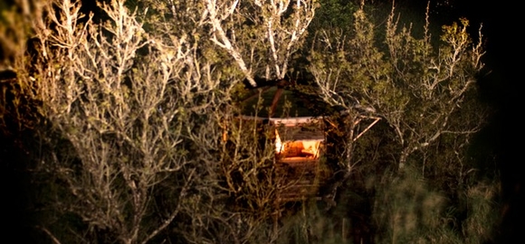 Exterior view of Walnut Treehouse at  night, Baixo Alentejo