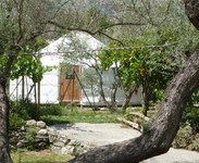 Olive Tree Yurt