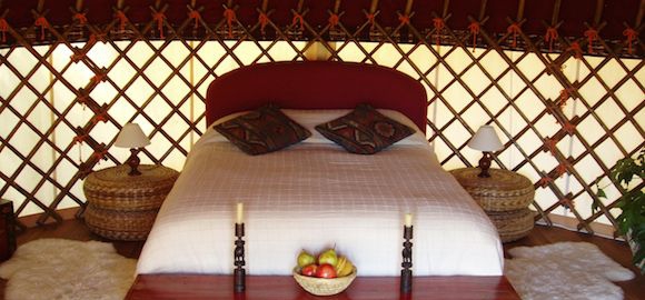 Afghani, The Hoopoe Yurt Hotel, Andalucia, Spain