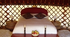 Afghani, The Hoopoe Yurt Hotel, Andalucia, Spain