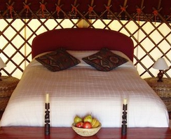 Afghani Yurt