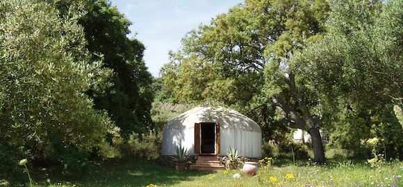 Afghani, The Hoopoe Yurt Hotel, Andalucia, Spain