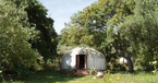 Afghani, The Hoopoe Yurt Hotel, Andalucia, Spain